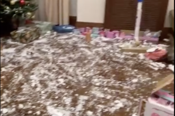 Жена Павла Воли показала погром в квартире после празднования Нового года