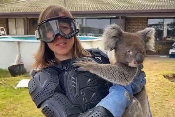 Журналистка поверила шутке и надела бронежилет для встречи с коалой