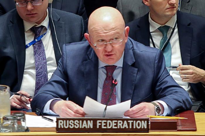 Раскрыты подробности спора представителей России и Германии в Совбезе ООН