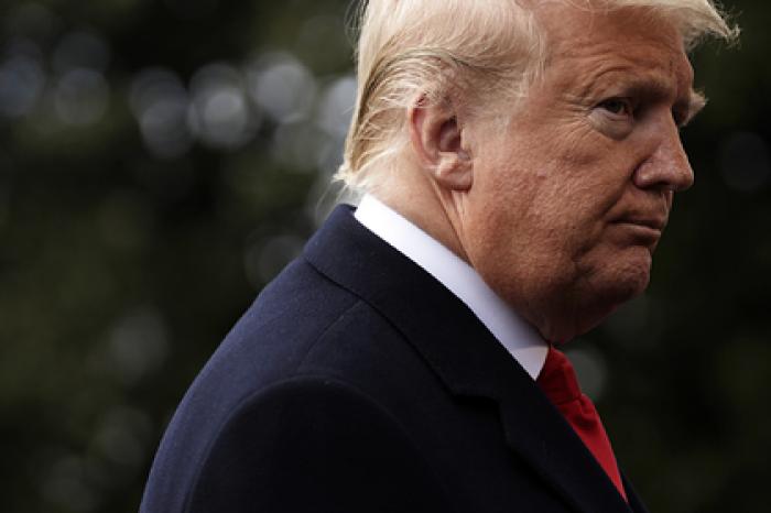 Стало известно об интересе Трампа к барсукам