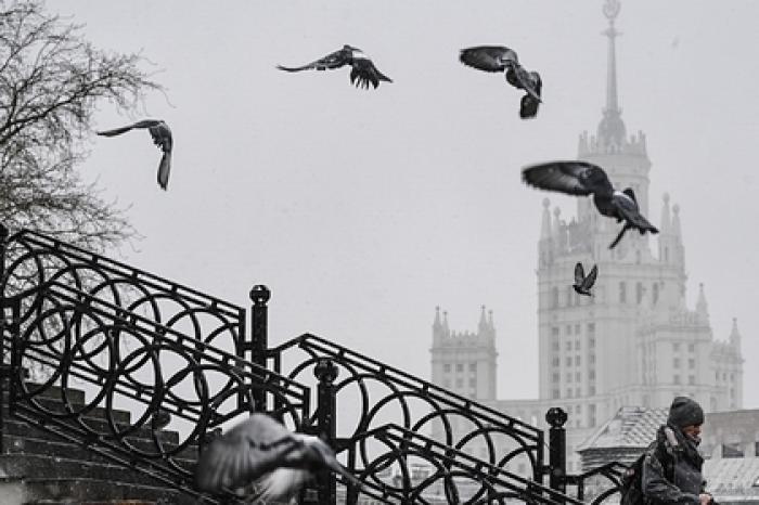 В Москву придет «мрачноватая» оттепель