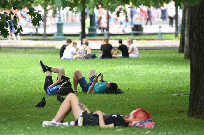 Россиянам пообещали «малиновое» лето