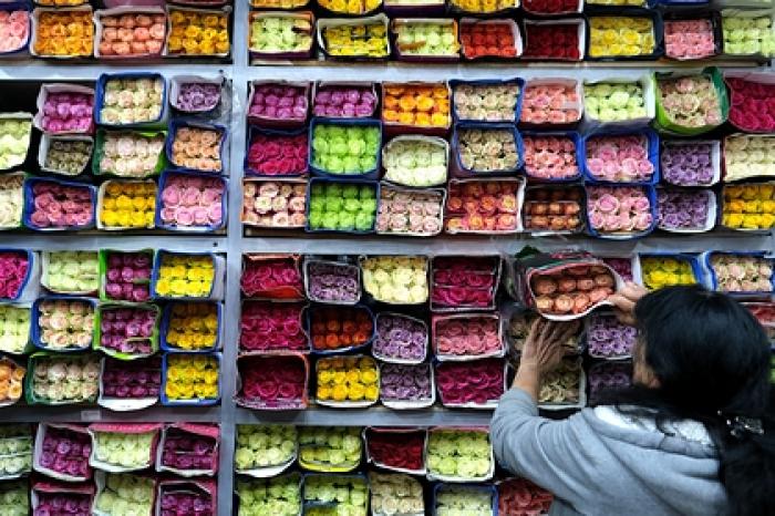 Россиянки назвали желаемые подарки на 8 марта