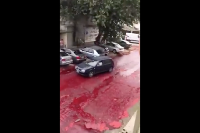 Тысячи литров крови растеклись по улице и попали на видео