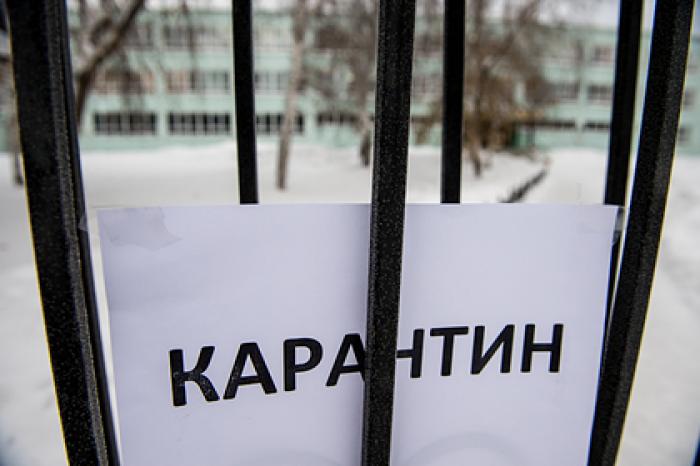 В России раскритиковали немецкий список продуктов для карантина