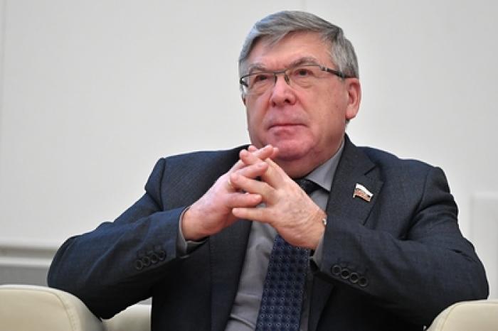 В Совфеде объяснили важность расширения программы маткапитала
