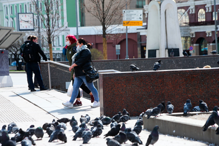 Москвичей предупредили о всплеске COVID-19 при массовом нарушении самоизоляции