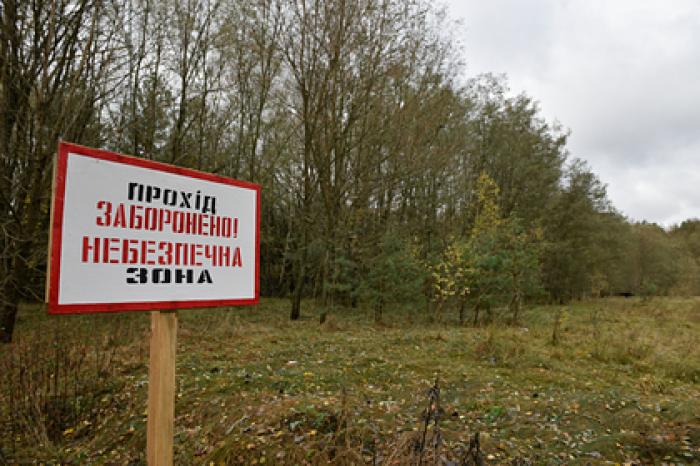 На Украине предупредили об угрозе «очередного Чернобыля»