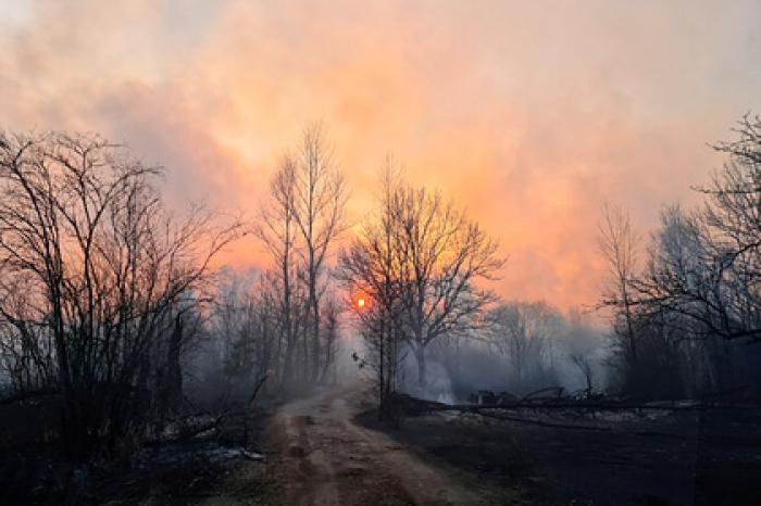 России предсказали тяжелый сезон лесных пожаров