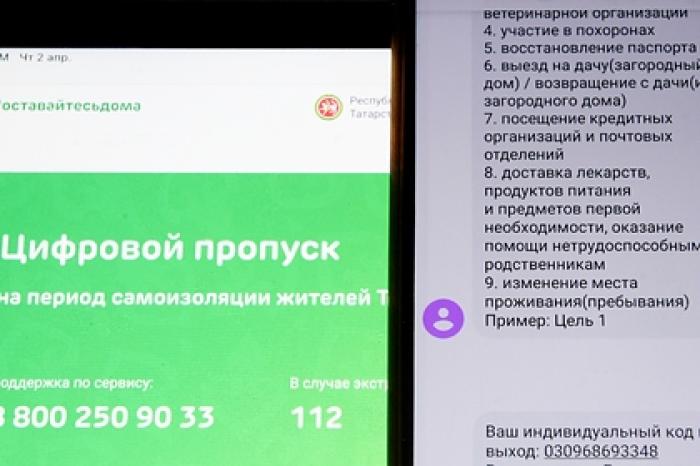Российский регион ввел электронные пропуска для передвижения