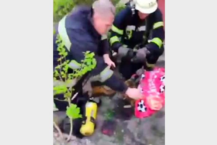 Украинские пожарные спасли двух котов и попали на видео