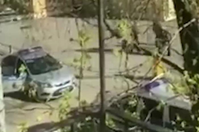Жесткое задержание выпивавших на улице москвичей попало на видео