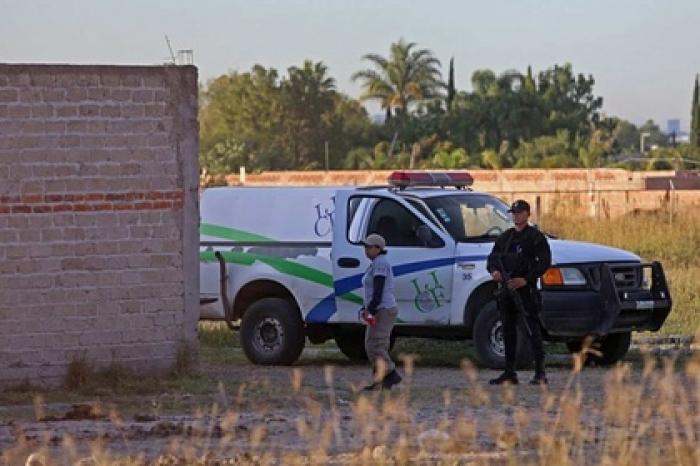 Массовое захоронение людей обнаружили на мексиканской ферме