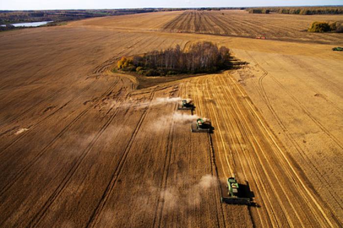 Минсельхоз США оценил лидерство России по экспорту пшеницы