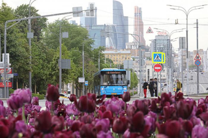 Москвичам назвали дату наступления климатического лета