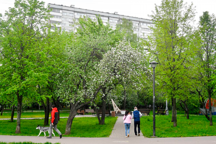 Названо условие снятия запрета на привычные прогулки из-за коронавируса
