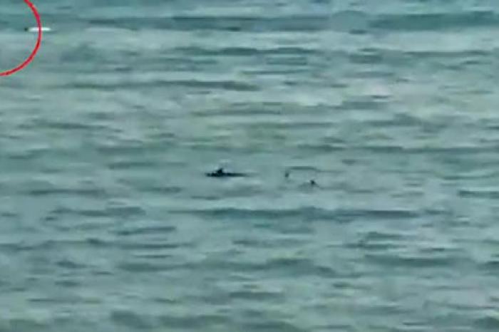 Паралимпиец уплыл от двух акул и попал на видео