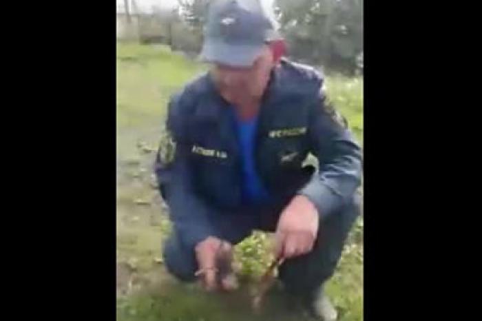 Стригущие траву маникюрными ножницами российские пожарные попали на видео