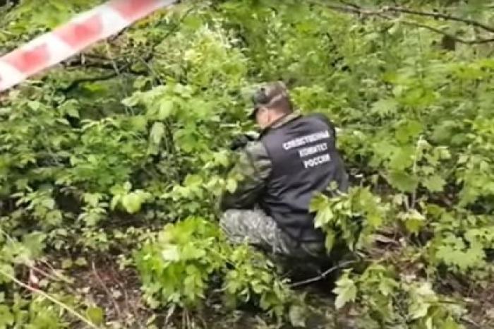 Ушедшую на прогулку российскую школьницу нашли убитой в лесу