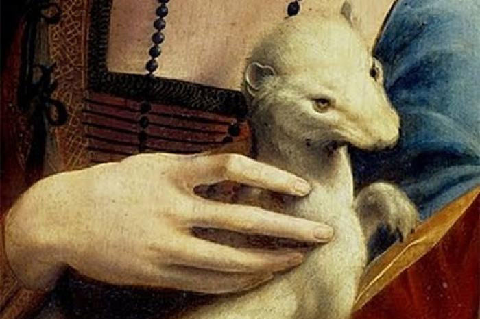 В хорьках на картинах эпохи Ренессанса обнаружили сексуальный подтекст