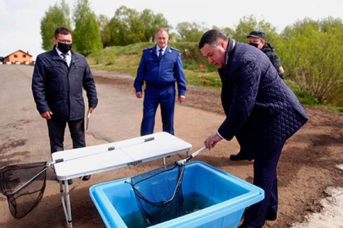 В водоемы Тверской области выпустят миллионы рыб