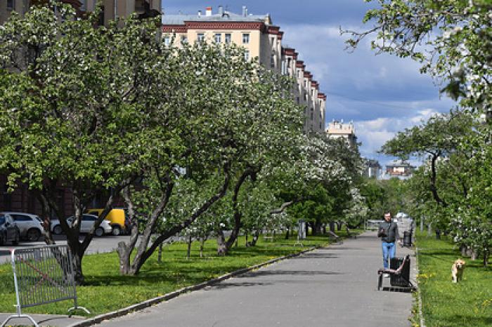 Арендаторы начали отказываться от квартир в Москве