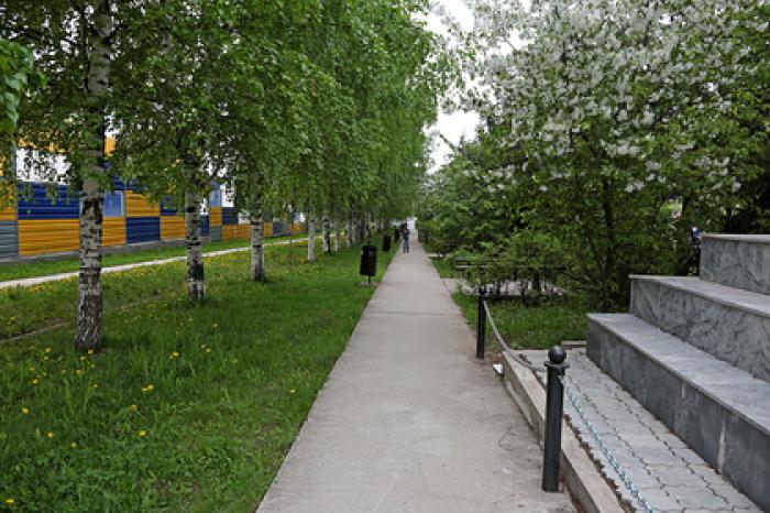 Десятки дворов еще одного российского города отремонтируют