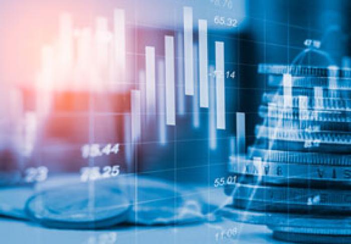 ЭКОНОМИКА МОЛДОВЫ ВСТУПАЕТ В КРИЗИС С ХОРОШЕЙ МАКРОЭКОНОМИЧЕСКОЙ ОСНОВОЙ