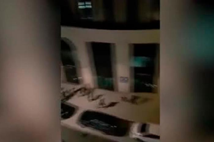 Кричащих «Аллаху акбар» погромщиков в Германии сняли на видео