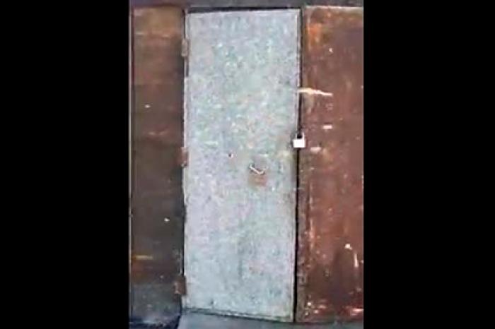 Миллиарды комаров атаковали российский регион и попали на видео