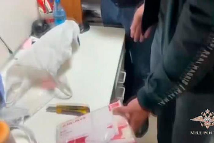 МВД показало видео с похищенными после ограбления инкассаторов миллионами рублей