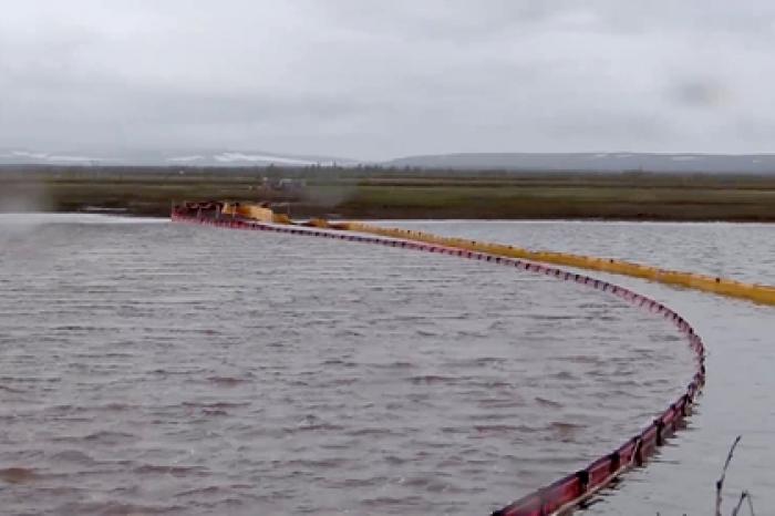 На водоемы Норильска после разлива топлива вернулись птицы