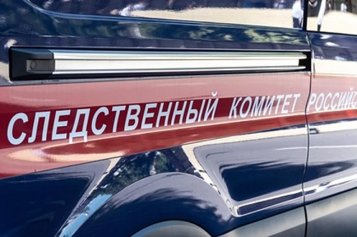 На заводе в Норильске произошла утечка отходов в тундру