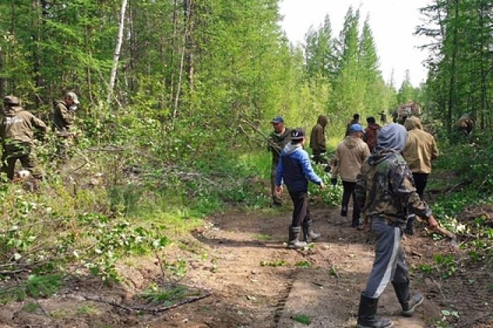 Российский мальчик заблудился в лесу и вышел к людям через три дня