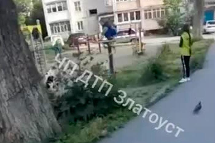 Стая собак напала на ребенка во дворе российского города и попала на видео