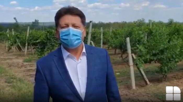 BREAKING NEWS: Штефан Гацкан дал о себе знать: "Меня никто не удерживает. Я с семьей" (ВИДЕО)