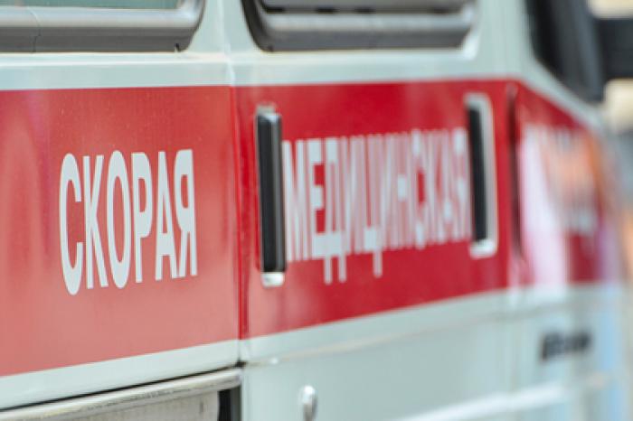Москвичи подрались из-за пса и распылили газовый баллончик на ребенка в коляске