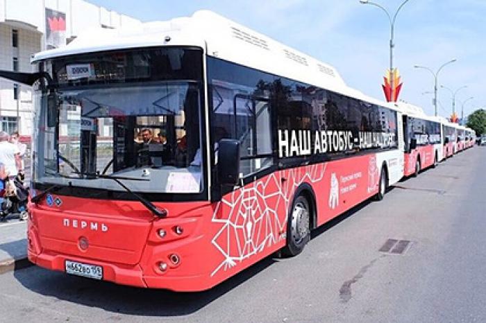 Пермь получила десятки новых автобусов