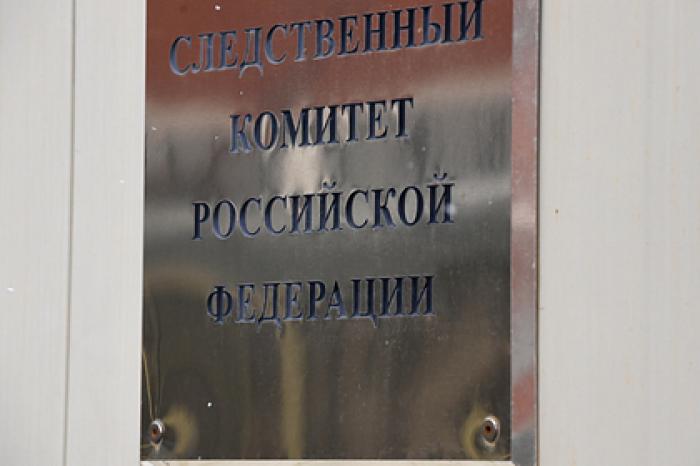 Раскрыты потери бюджета России от налоговых преступлений