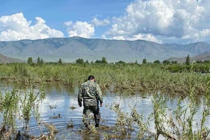 Россиянка выпивала с сожителем на речке и не заметила пропажи сына