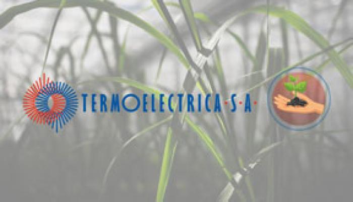 TERMOELECTRICA НАМЕРЕНА НАЛАДИТЬ ПРОИЗВОДСТВО ТЕПЛОНОСИТЕЛЯ ИЗ ВОЗОБНОВЛЯЕМЫХ ИСТОЧНИКОВ ЭНЕРГИИ