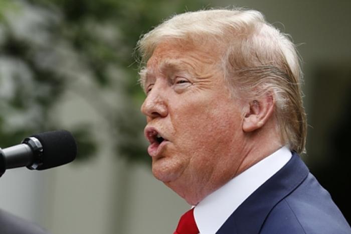 Трамп назвал лживой написанную его племянницей книгу о нем