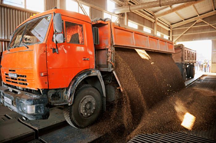 Экспорт сельхозпродукции из России превысил 13 миллиардов долларов