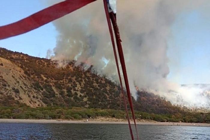 Очевидица раскрыла подробности мощного пожара на побережье Кубани