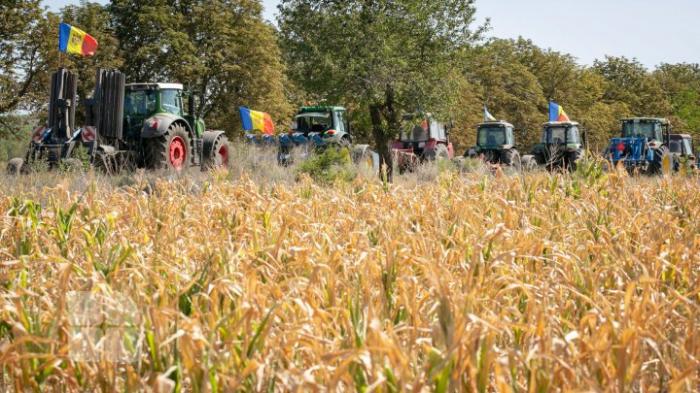 Правительство подготовило проект поправок, направленных на поддержку сельхозпроизводителей