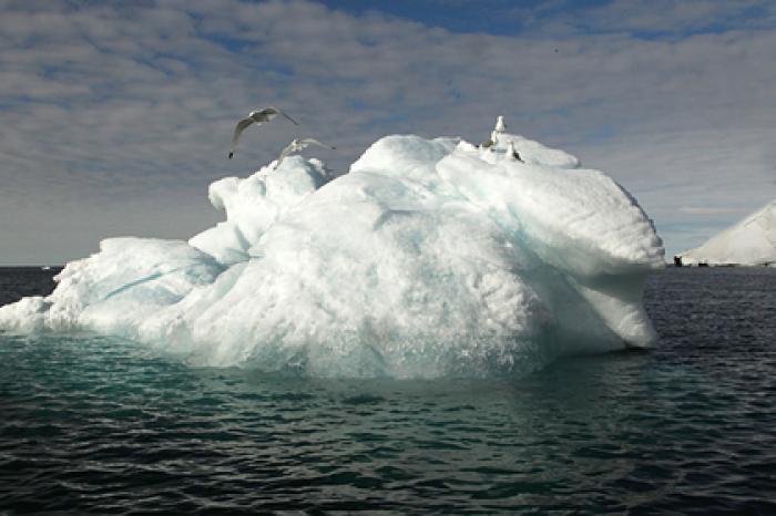 Площадь морского льда в Арктике достигла годового минимума