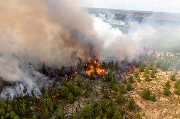 В лесных пожарах в Ростовской области пострадали 46 человек