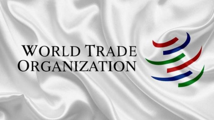 Всемирную торговую организацию впервые в истории может возглавить молдавский дипломат
