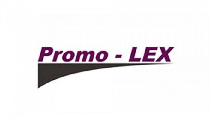 Использование админресурса, подкуп избирателей: ассоциация Promo-LEX выявила десятки нарушений в предвыборной кампании