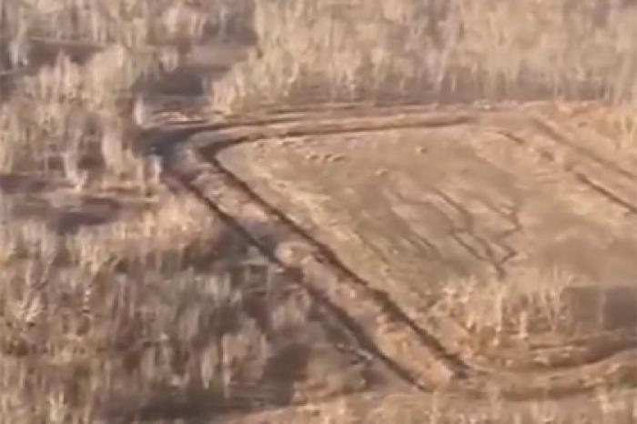 Полигон ядохимикатов возле загрязненного пляжа на Камчатке сняли с воздуха
